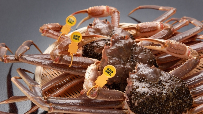 【600gコース】タグ付き越前生蟹をお1人につき600g使用＜さらに蒸し蟹を1グループに600g＞